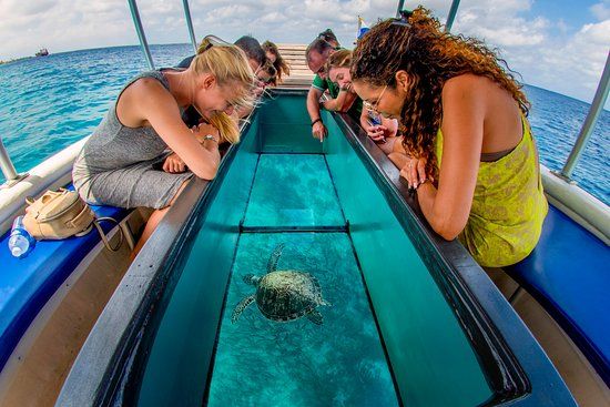 Reef tours