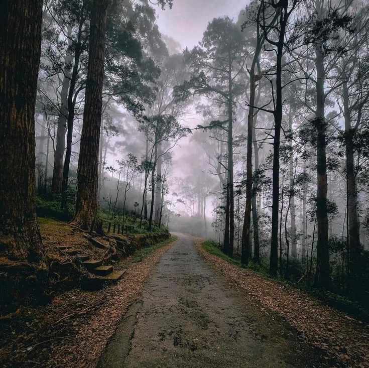 Ohiya