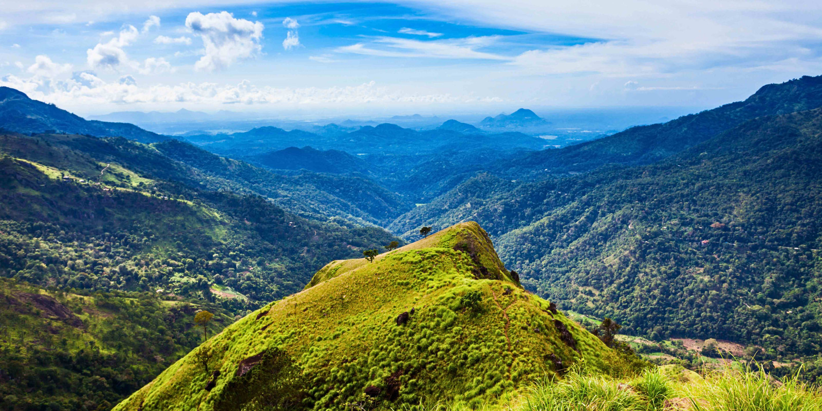 Adventure Experiences