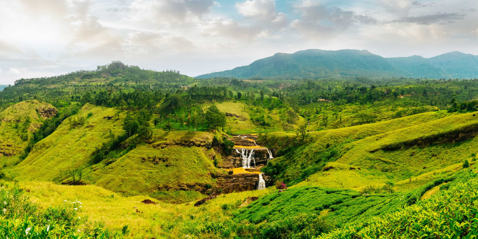 Nuwara Eliya