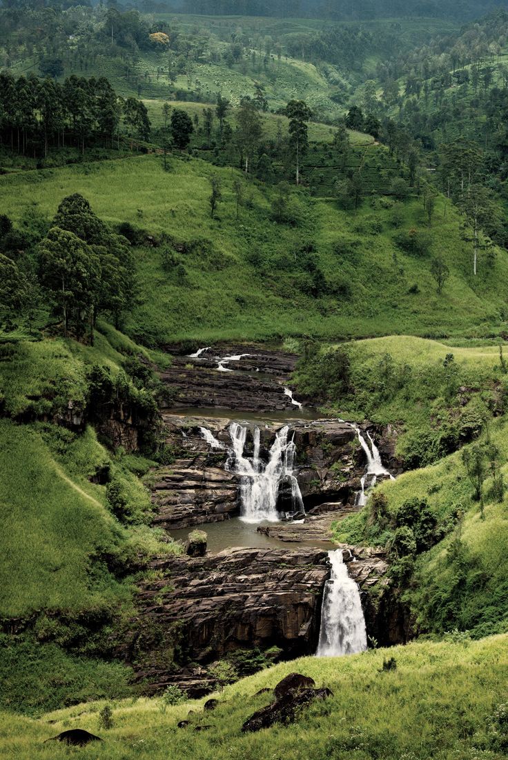 Nuwara Eliya