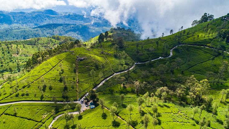 Sri Lankan Nature