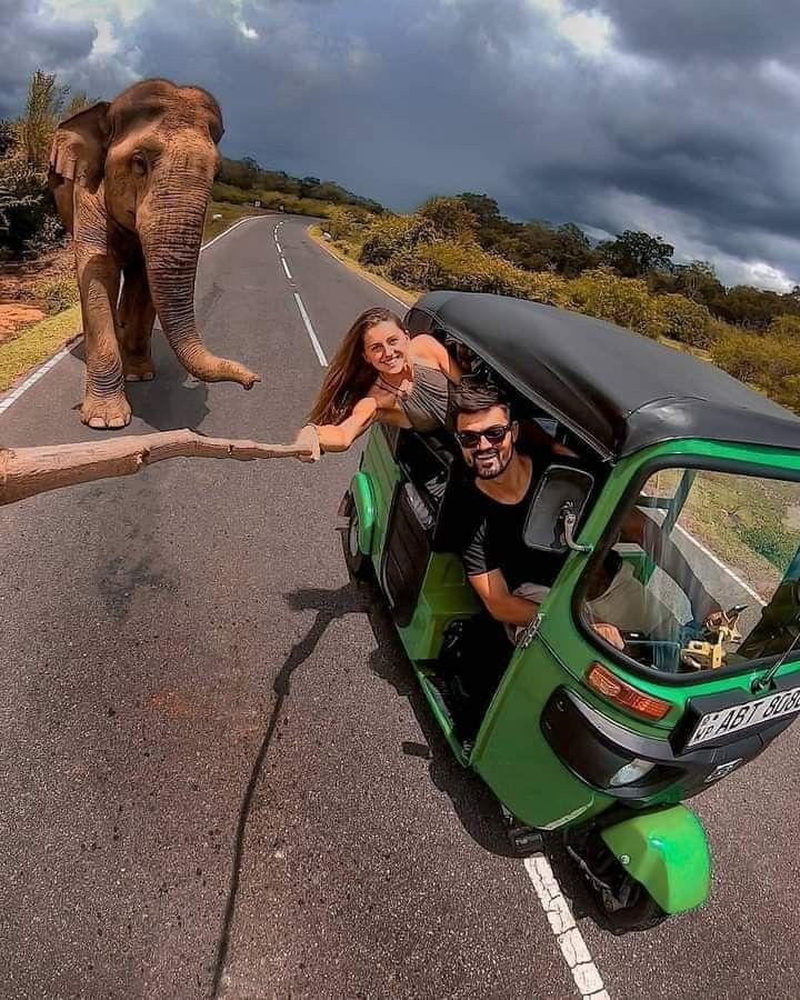 Tuk Tuk tours